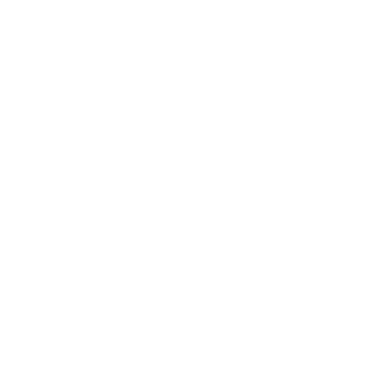 Archive211 Condensed Logo